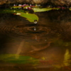 水滴 2004142