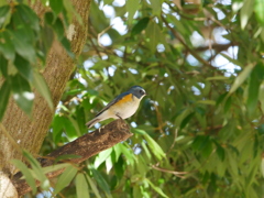 2012246