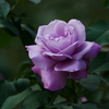 20100120