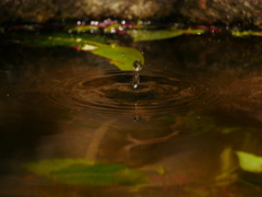 水滴 2004141