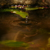 水滴 2004141