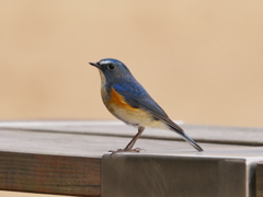2012097
