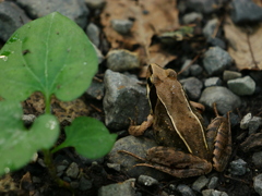 2009101