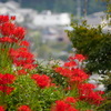 20100126