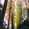 2011021