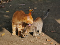 20102713