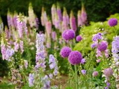 花 20052514
