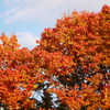 2011111