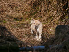 2010279