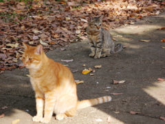 20102712