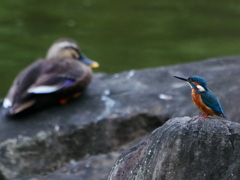 20090912