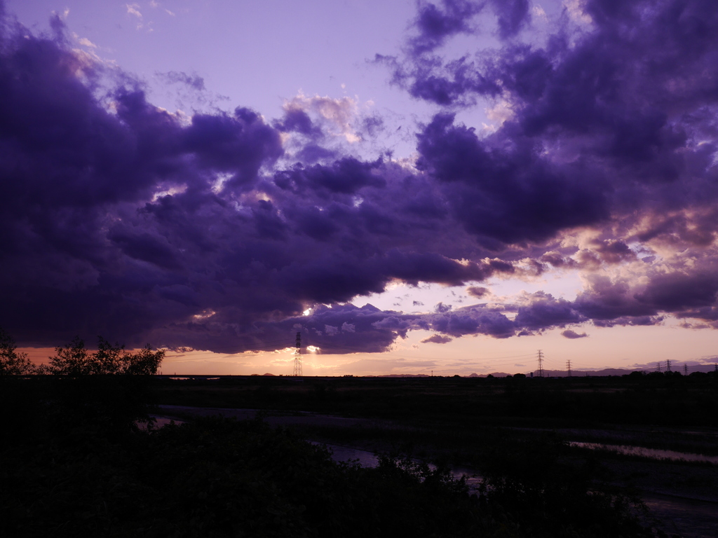 2010302