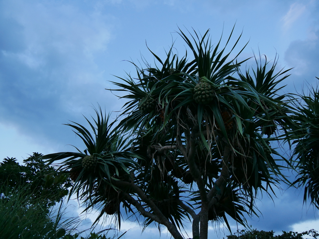 2010245