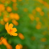 20091010