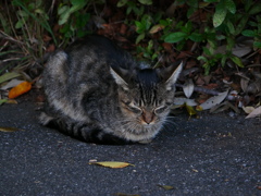 20103018