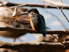 2011309