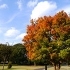 2010273