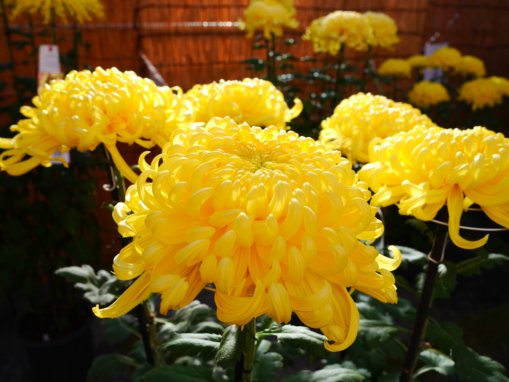2011053