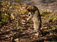 2010278