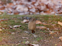 2012182