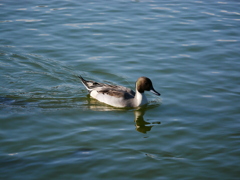 20103010