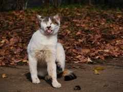 20102711