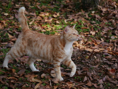 20102710