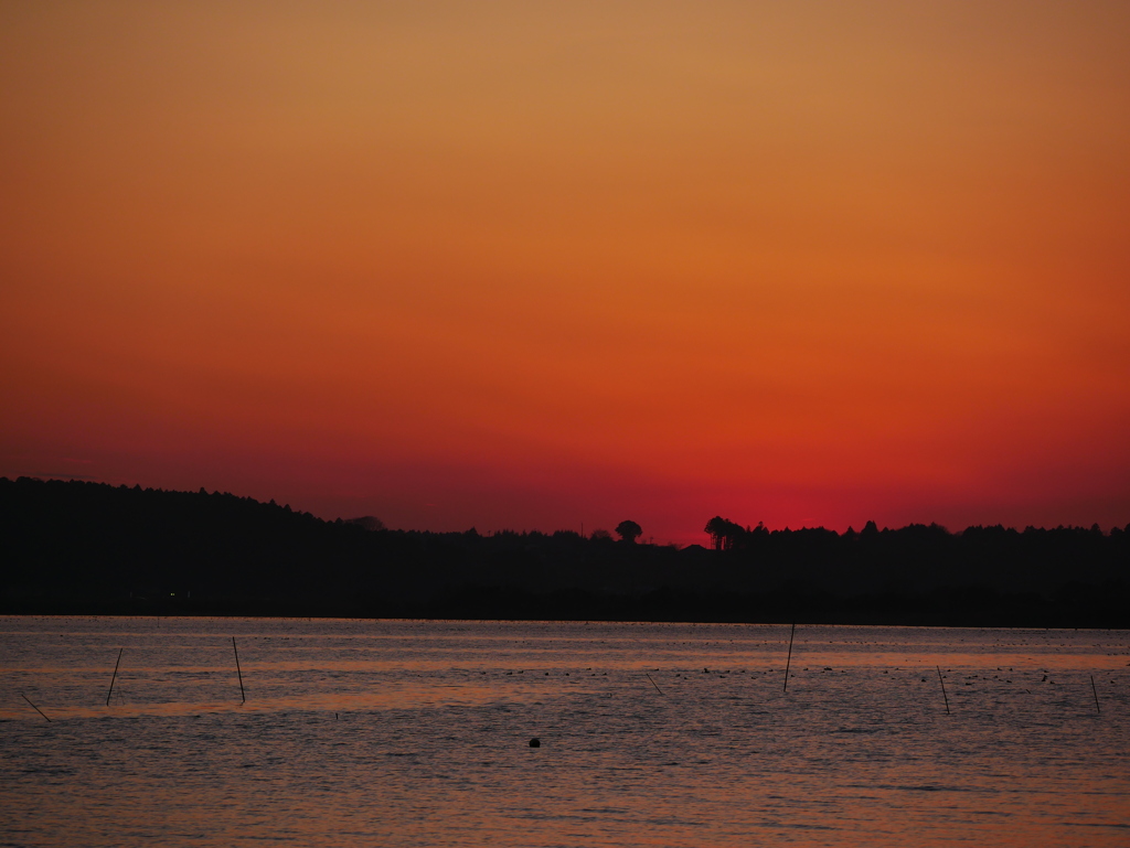 夕景 2001203