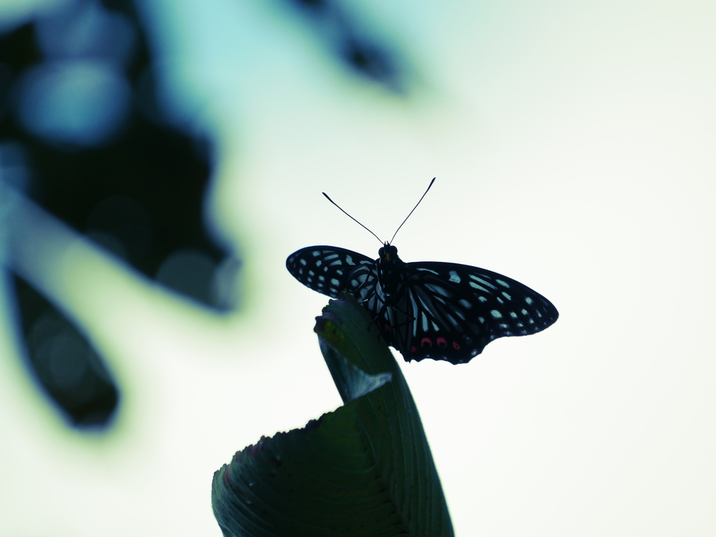 20090913