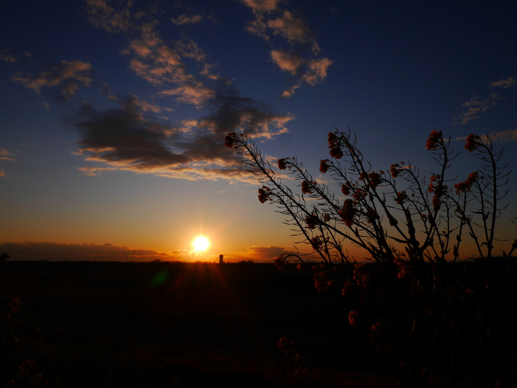 夕景 2002082