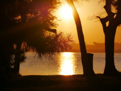 夕景 2001201
