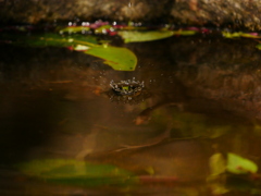 水滴 2004143