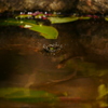 水滴 2004143