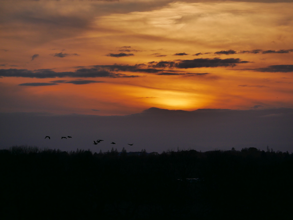 夕景 2003092