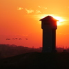 夕景 2002132
