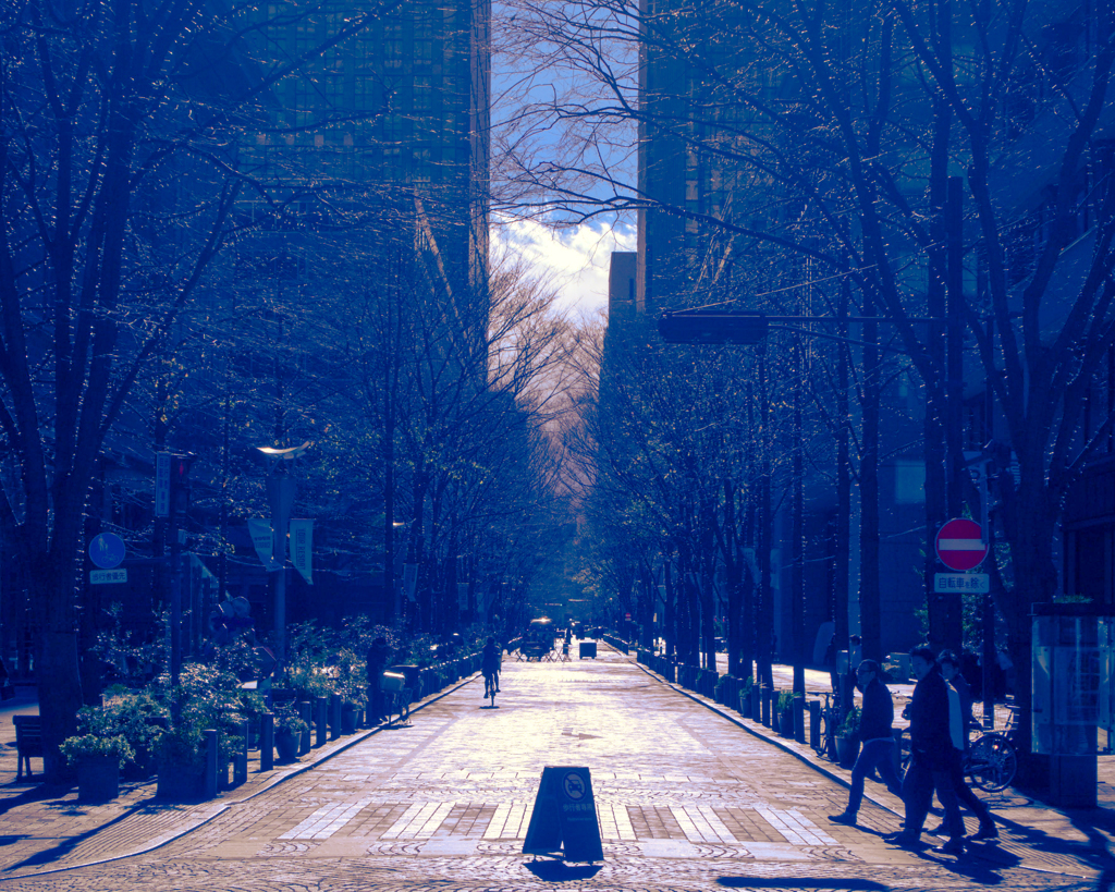 Marunouchi Naka-dori Avenue