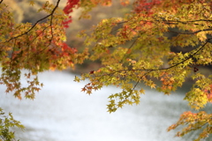 碓氷湖にて　2
