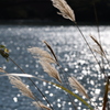 碓氷湖にて　4