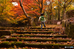 いつかの紅葉