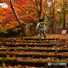 いつかの紅葉