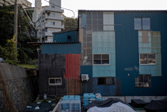 究極のナマケモノ用レンズ（1ヶ月経過後感想）