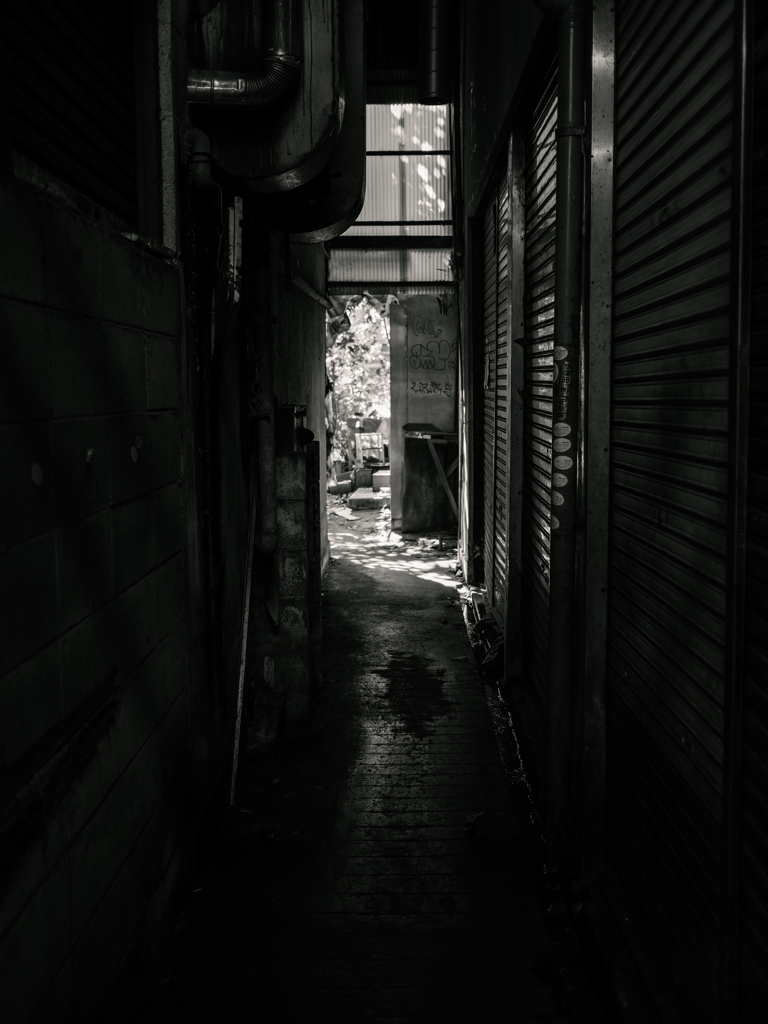 偽出口