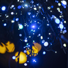 led cosmos