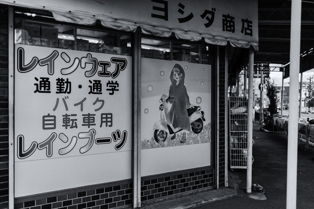 wakayama statics