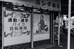 wakayama statics