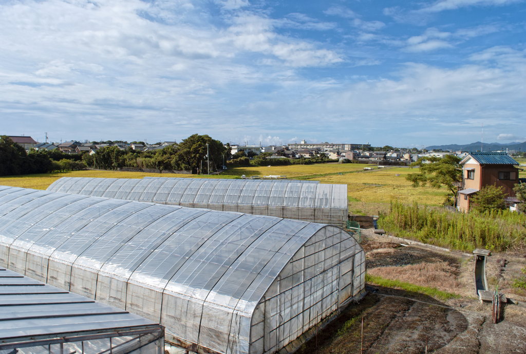 Leica M8 + 瑞光レンズ