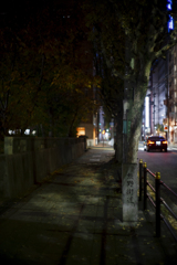 a unkowns park's night