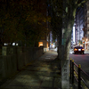 a unkowns park's night