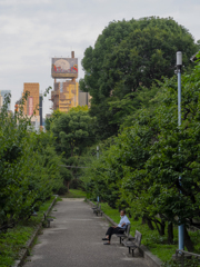 THE TANIMACHI