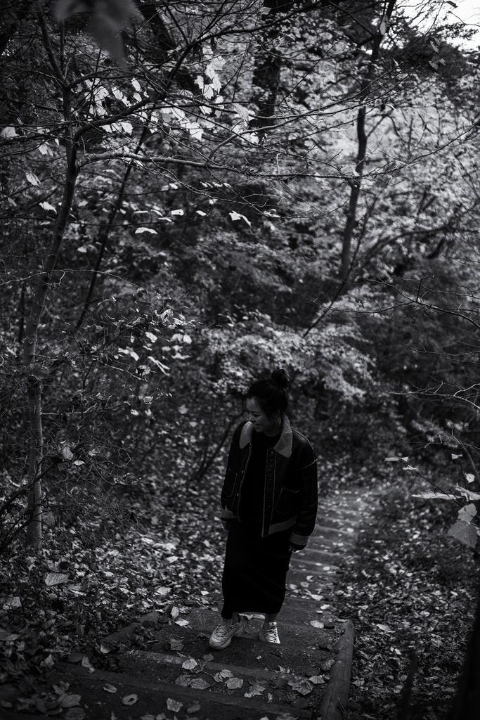 fall leaves b&w